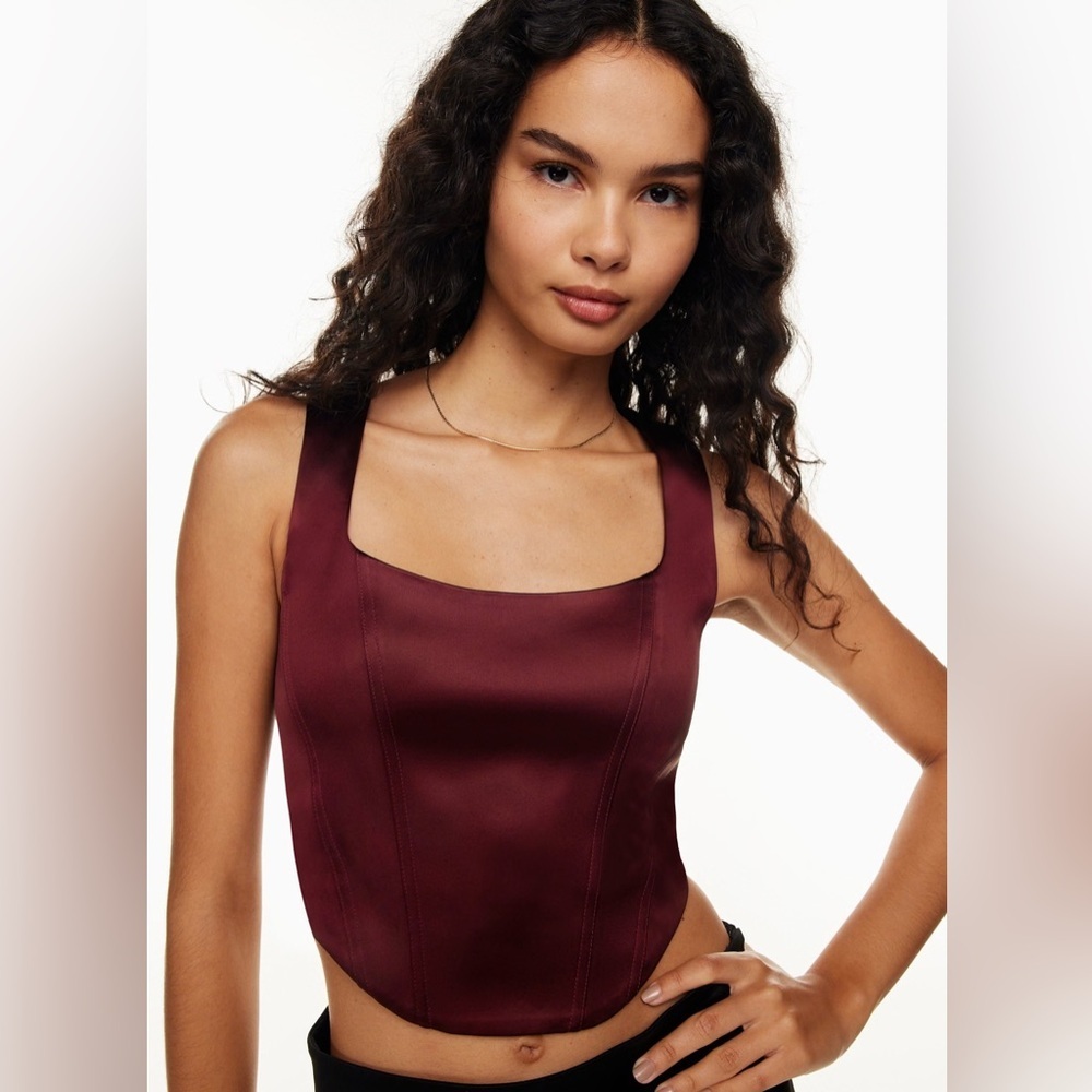 Aritzia Sunday Best Shiloh Satin Bustier
